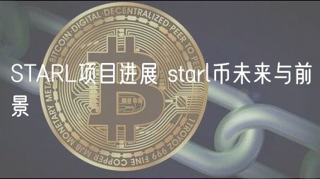 STARL项目进展 starl币未来与前景-第1张图片-芝麻开门下载