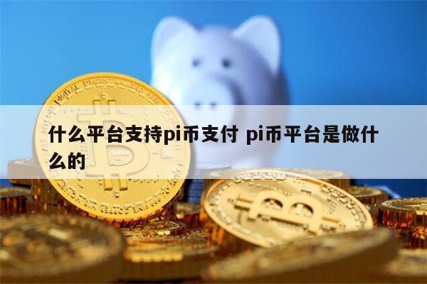 什么平台可以pi币支付 pi币平台是做干嘛的-第1张图片-芝麻开门下载