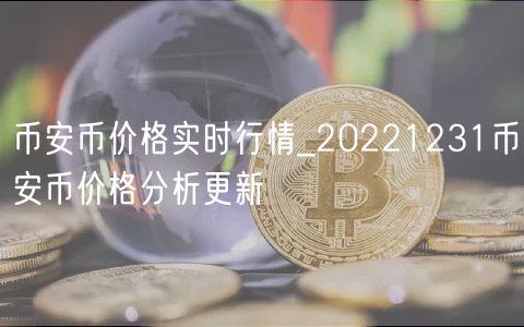 binance币价格实时行情_20221231binance币价格分析更新-第1张图片-芝麻开门下载