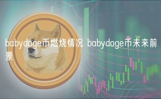 babydoge币燃烧情况 babydoge币未来前景-第1张图片-芝麻开门下载