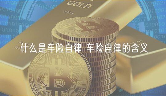 什么是车险自律 车险自律的含义-第1张图片-芝麻开门下载