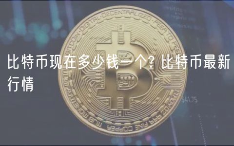 比特币现在多少钱一个? 比特币最新行情-第1张图片-芝麻开门下载