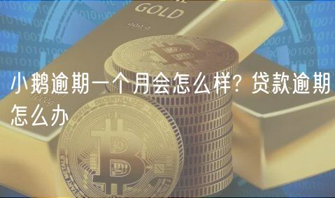 小鹅逾期一个月会怎么样? 贷款逾期怎么办-第1张图片-芝麻开门下载