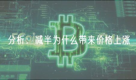 分析：减半为什么带来价格上涨-第1张图片-芝麻开门下载