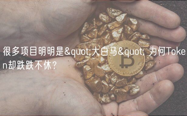 很多项目明明是&quot;大白马&quot; 为何Token却跌跌不休？-第1张图片-芝麻开门下载