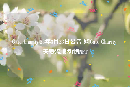 Gatb Charity 23年3月23日公告 购Gatb Charity 关爱流浪动物NFT-第1张图片-芝麻开门下载