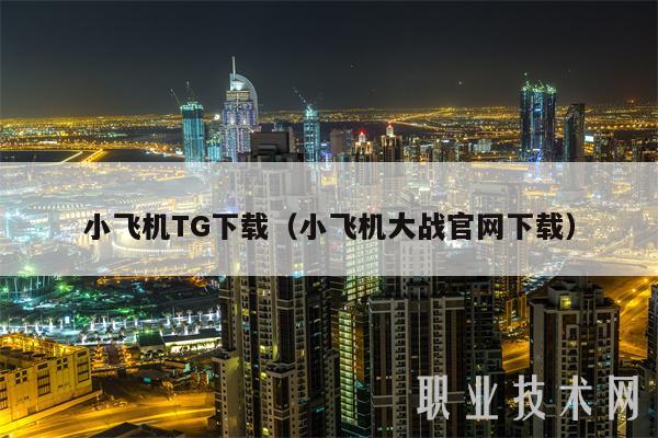 小飞机TG下载（小飞机大战官网下载-第1张图片-芝麻开门下载