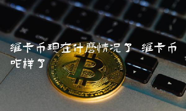 维卡币现在什么情况了 维卡币咋样了-第1张图片-芝麻开门下载