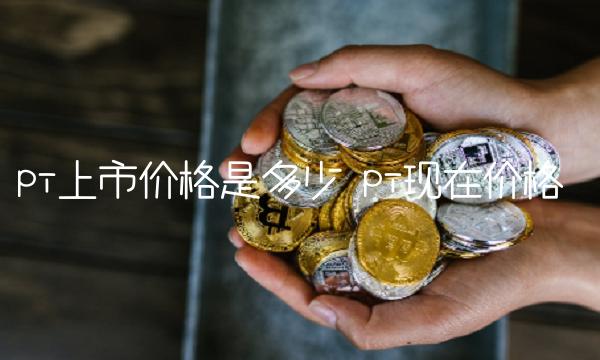 pi上市价格是多少-第1张图片-芝麻开门下载
