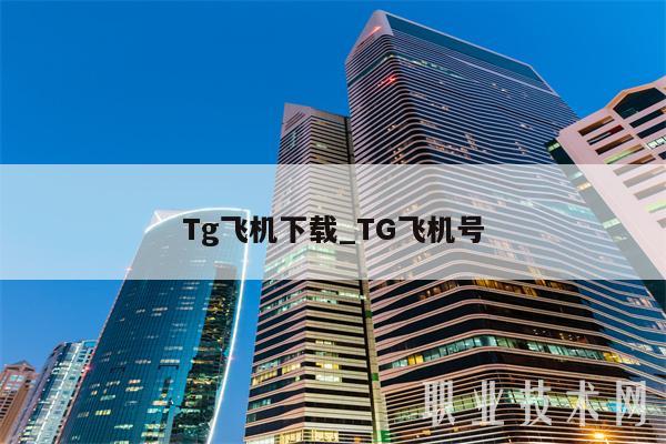 Tg飞机下载_TG飞机号-第1张图片-芝麻开门下载