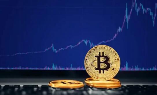 狗币最低价多少(狗币多少起买)-第1张图片-芝麻开门下载