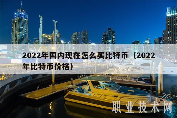 2022年国内现在怎么买比特币（2022年比特币价格-第1张图片-芝麻开门下载