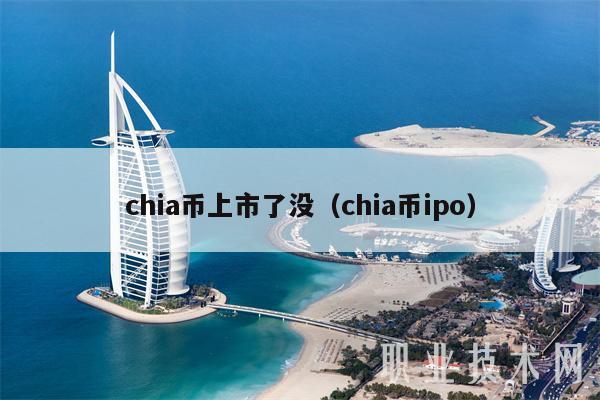 chia币上市了没（chia币ipo-第1张图片-芝麻开门下载