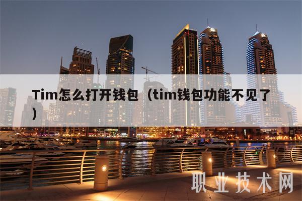Tim怎么打开钱包（tim钱包功能不见了）-第1张图片-芝麻开门下载