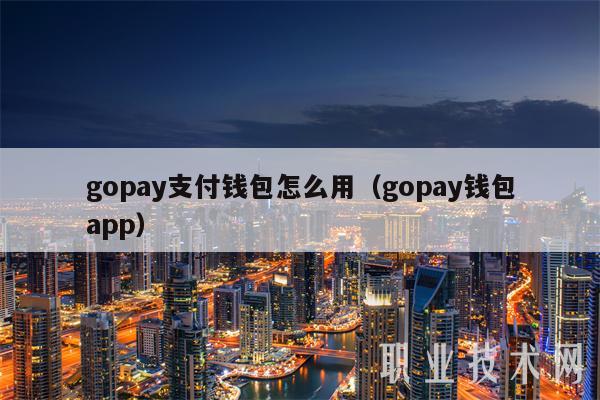 gopay支付钱包怎么用（gopay钱包app）-第1张图片-芝麻开门下载