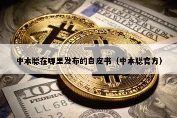 中本聪在哪里发布的白皮书（中本聪官方）-第1张图片-芝麻开门下载