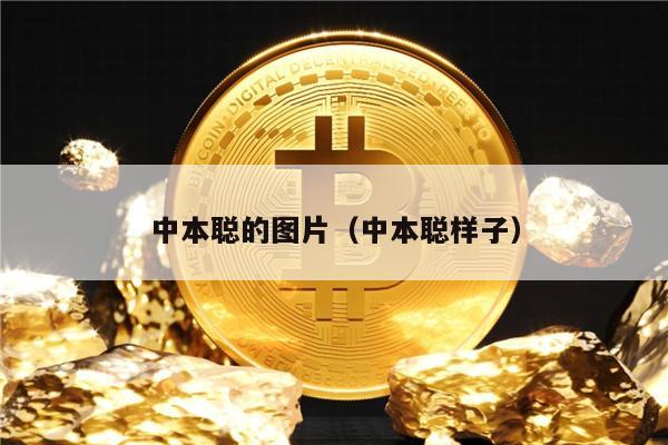 中本聪的图片（中本聪样子）-第1张图片-芝麻开门下载