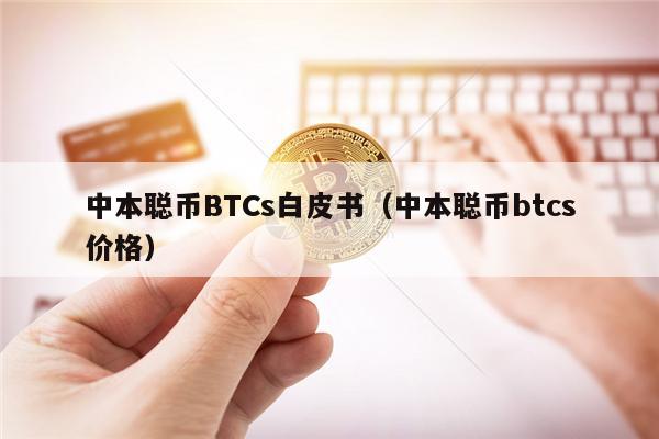 中本聪币BTCs白皮书（中本聪币btcs价格）-第1张图片-芝麻开门下载