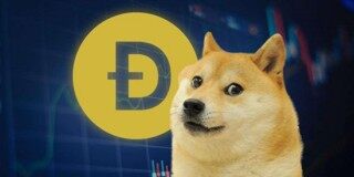 2022未来4种暴涨的币(2022年将要暴