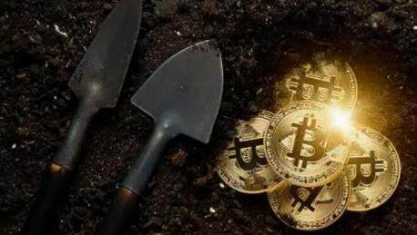 shib币今天价格(shib币今日的价格行情)-第1张图片-芝麻开门下载