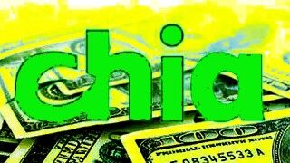 奇亚币交易平台app 奇亚币下载地址