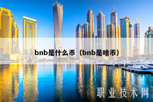 bnb是什么币（bnb是啥币-第1张图片-芝麻开门下载