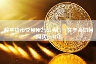 数字货币交易平台app怎么买U？一文学