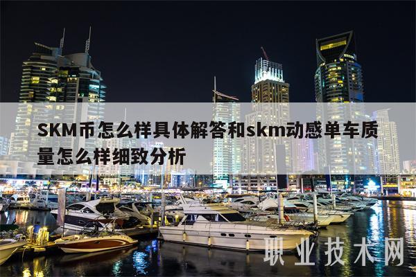 SKM币怎么样具体解答和skm动感单车质量怎么样细致分析-第1张图片-芝麻开门下载