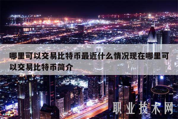 哪里可以交易比特币最近什么情况现在哪里可以交易比特币简介-第1张图片-芝麻开门下载