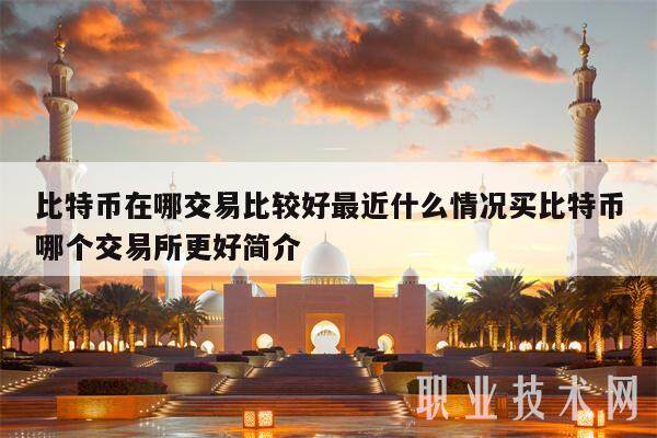 比特币在哪交易比较好最近什么情况买比特币哪个交易平台app更好简介-第1张图片-芝麻开门下载