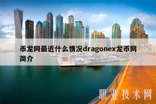 币龙网最近什么情况dragonex龙币网简介-第1张图片-芝麻开门下载