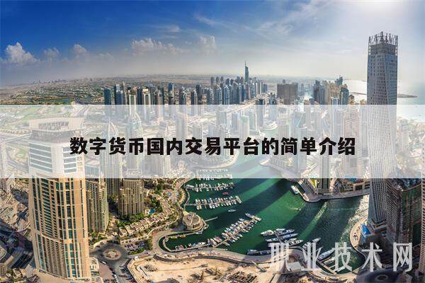 数字货币国内交易平台的简单介绍-第1张图片-芝麻开门下载