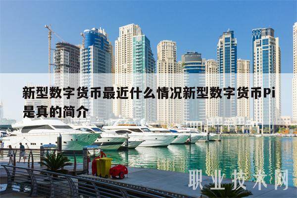 新型数字货币最近什么情况新型数字货币Pi是真的简介-第1张图片-芝麻开门下载