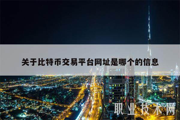 关于比特币交易平台网址是哪个的信息-第1张图片-芝麻开门下载