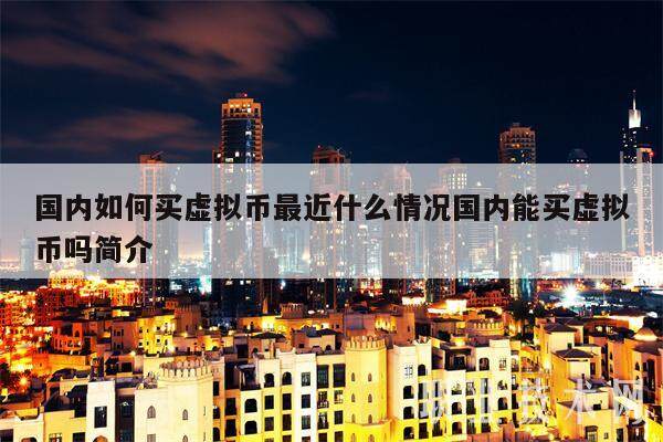 国内如何买虚拟币最近什么情况国内能买虚拟币吗简介-第1张图片-芝麻开门下载