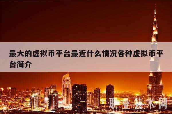 最大的虚拟币平台最近什么情况各种虚拟币平台简介-第1张图片-芝麻开门下载