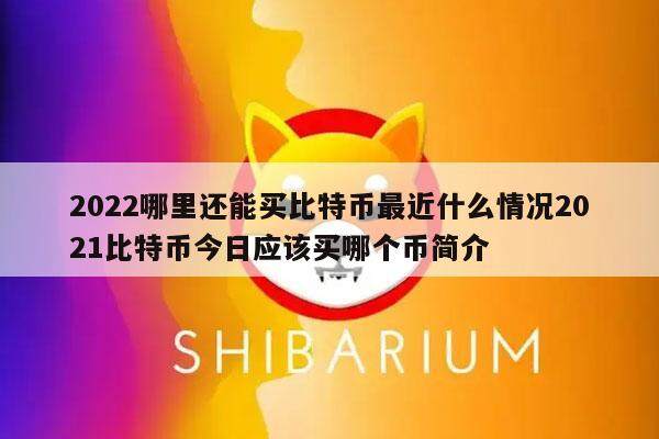 2022哪里还能买比特币最近什么情况2021比特币今日应该买哪个币简介-第1张图片-芝麻开门下载