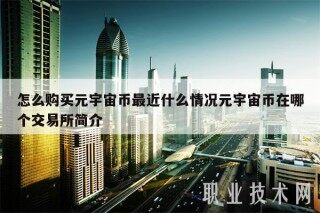 怎么购买元宇宙币最近什么情况元宇