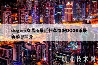 doge币交易平台app最近什么情况DOG