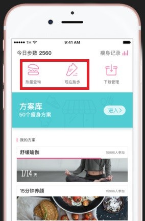 轻加青春版