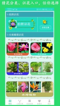 看图识花